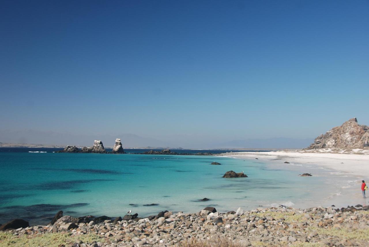 Cabanas Las Hualas Punta de Choros Dış mekan fotoğraf