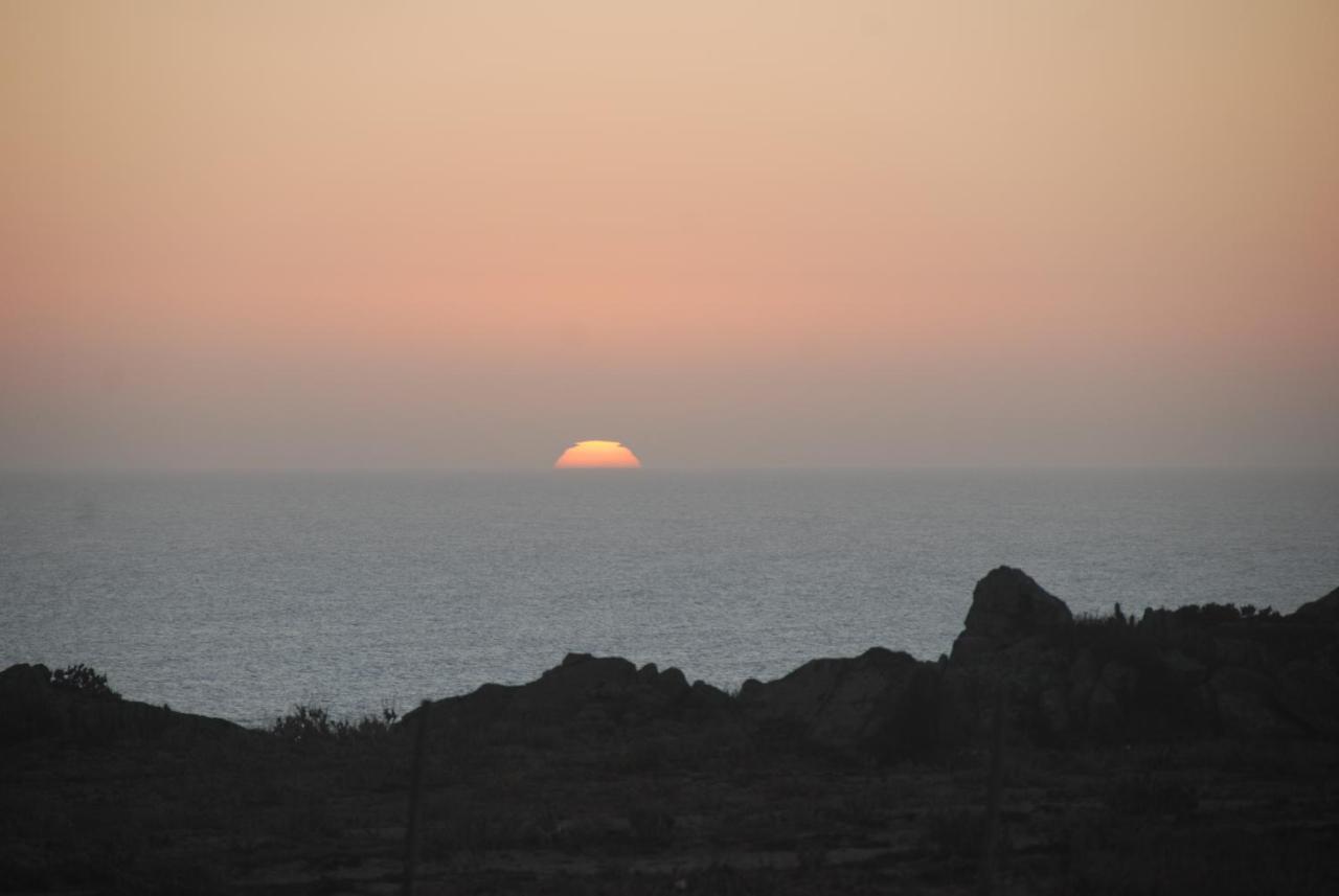 Cabanas Las Hualas Punta de Choros Dış mekan fotoğraf