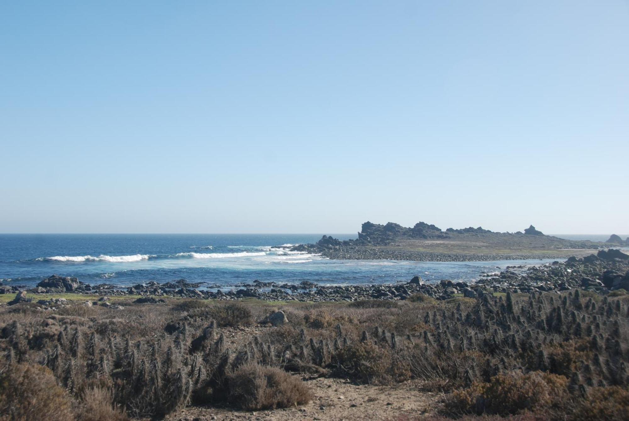 Cabanas Las Hualas Punta de Choros Dış mekan fotoğraf